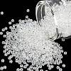 MIYUKI Round Rocailles Beads SEED-G008-RR0160-1