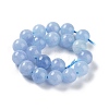 Dyed Natural Malaysia Jade Beads Strands G-G021-02C-07-3