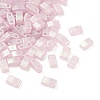 Glass 2-Hole Baking Paint Glass Seed Beads GLAA-G130-01A-1