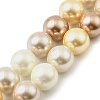 Round Shell Pearl Beads Strands BSHE-XCP0001-26A-1