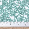 MIYUKI Round Rocailles Beads SEED-G007-RR0481-4