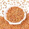 Picasso Glass Seed Beads GL-N001-02G-2