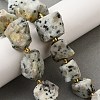 Raw Rough Natural Seaame Jasper Beads Strands G-Z087-B03-1