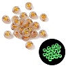 Luminous Transparent Acrylic Beads OACR-P037-01B-S-1