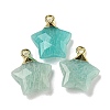 Natural Amazonite Pendants G-P540-01G-03-1