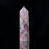 Natural Plum Blossom Tourmaline Pointed Prism Bar Home Display Decoration G-PW0007-101C-1