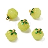 Glass Charms GLAA-P072-04G-03-1
