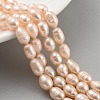 Natural Cultured Freshwater Pearl Beads Strands PEAR-P062-08F-2