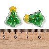 Transparent Glass Enamel Beads LAMP-S070-05F-4