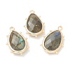 Natural Labradorite Pendants G-B009-02G-G-1