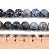 Natural Fire Crackle Agate Bead Strands G-K166-07F-10mm-07-4