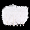 72Pcs 3 Styles Ostrich Feather Craft for Wedding Party Centerpieces Home Decoration DIY-GA0009-95-6