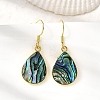 Brass Natural Paua Shell Dangle Earrings EJEW-M060-19B-G-1