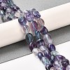 Natural Fluorite Beads Strands G-B048-A01-02-2