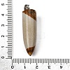 Natural Picture Jasper Pointed Pendants G-F820-12T-3