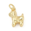 Brass Pendants KK-U062-63G-1