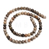 Natural Fossil Coral Beads Strands G-C288-A01-6mm-4
