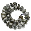 Natural Labradorite Beads Strands G-L642-H05-01-3