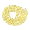 Transparent Glass Beads Strands GLAA-N071-01A-A02-2