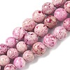 Natural Fossil Graduated Beads Strands G-F830-A03-01B-2