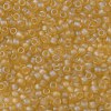 TOHO Round Seed Beads SEED-JPTR08-0162F-2
