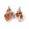 Natural Sea Shell Pendants SSHEL-N038-45-1