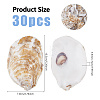 Concave Oyster Shells for Home Vase Filler AJEW-WH0880-34-2