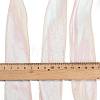 10 Yards Polyester Iridescent Organza Ribbon OCOR-XCP0003-09-3