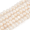 Natural Cultured Freshwater Pearl Beads Strands PEAR-I007-07Y-09A-2