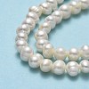 Natural Cultured Freshwater Pearl Beads Strands PEAR-F018-17B-01-4