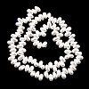 Electroplated Shell Pearl Beads Strands BSHE-B009-A01-5x8mm-2