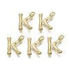 Alloy Pendants LS-PALLOY-S137-001K-NR-2