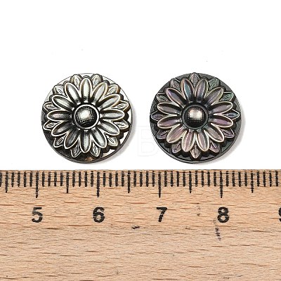 Natural Black Lip Shell Carved Cabochons SSHEL-B006-01B-B-1