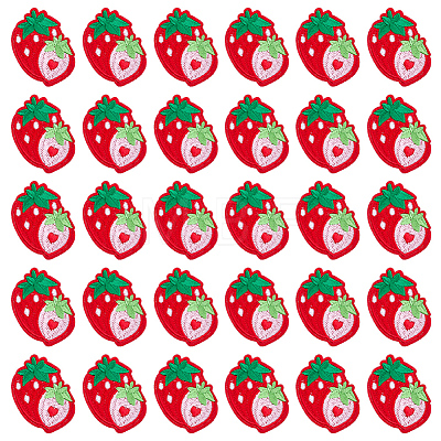 30Pcs Strawberry Computerized Embroidery Cloth Iron on/Sew on Patches PATC-FG0003-73A-1