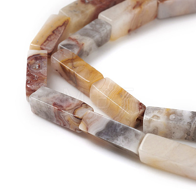 Natural Crazy Lace Agate Beads Strands G-G837-04-1