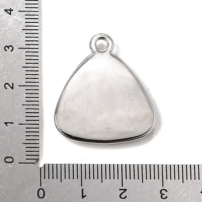 304 Stainless Steel & Natural Paua Shell Pendants SH-CBA7184-01E-P-1