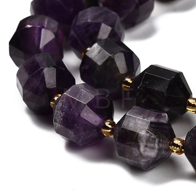 Natural Amethyst Beads Strands G-P568-B02-01-1