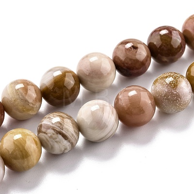 Natural Petrified Wood Beads Strands G-O199-06C-1