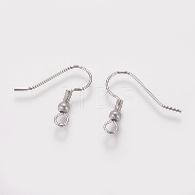 316 Surgical Stainless Steel Earring Hooks X-STAS-I090-03P-1