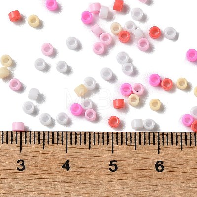Baking Paint Glass Seed Beads X-SEED-S042-05A-08-1