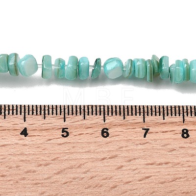Natural Freshwater Shell Beads SHEL-B003-01B-1