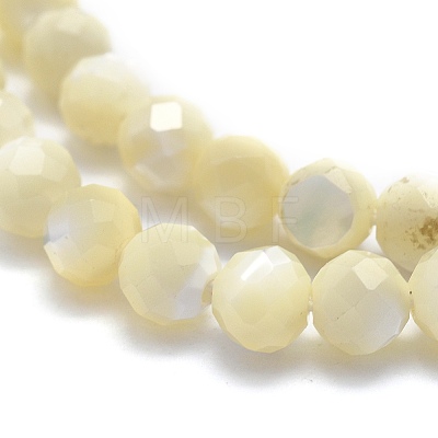 Natural White Shell Beads G-O171-09-6mm-1