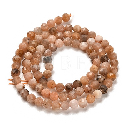 Natural Multi-Moonstone Beads Strands G-B107-A09-06-1