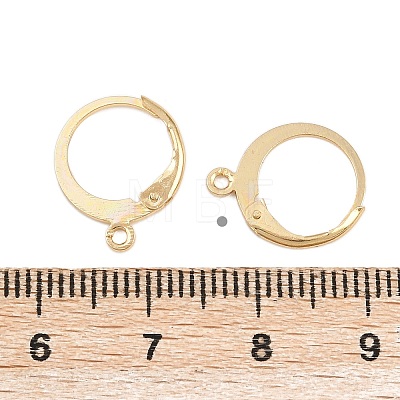 304 Stainless Steel Leverback Earring Findings STAS-F141-02G-1