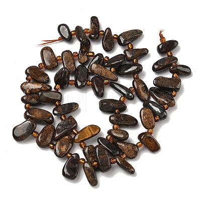 Natural Bronzite Beads Strands G-Z130-A02-01-1