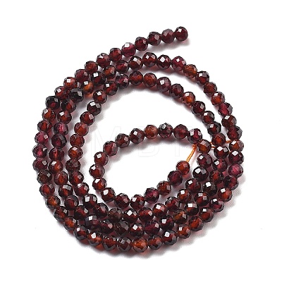 Natural Garnet Beads Strands G-H079-A01-03C-1