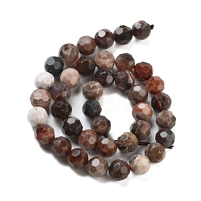 Natural Petrified Wood Beads Strands G-C150-B01-02-1