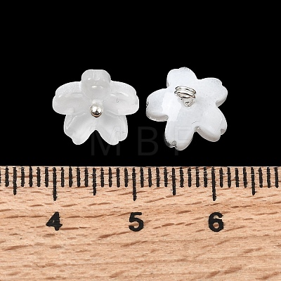 Glass Charms GLAA-G127-05J-1