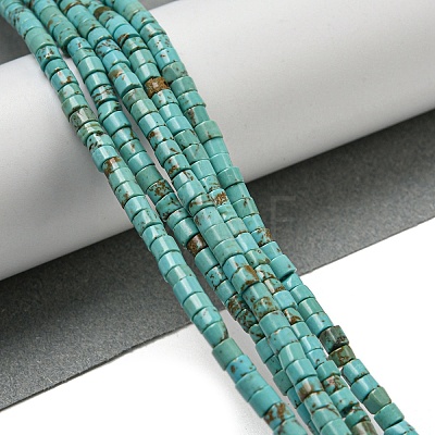 Natural Turquoise Beads Strands X-G-C084-D10-02-1