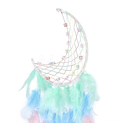 Iron Woven Web/Net with Feather Pendant Decorations LS-AJEW-P097-08-1